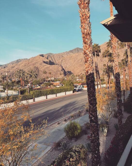 Mountain View Cocoon Inspired By Frida Kahlo With Pool, Hot Tub, Tennis, Downtown Apartment Palm Springs Exterior photo